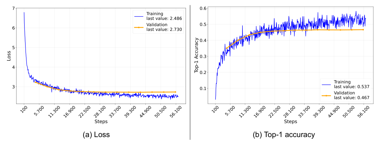 Loss & Top-1 accuracy for 1_TEO model - source: own depiction Loss & Top-1 accuracy for 1_TEO model
