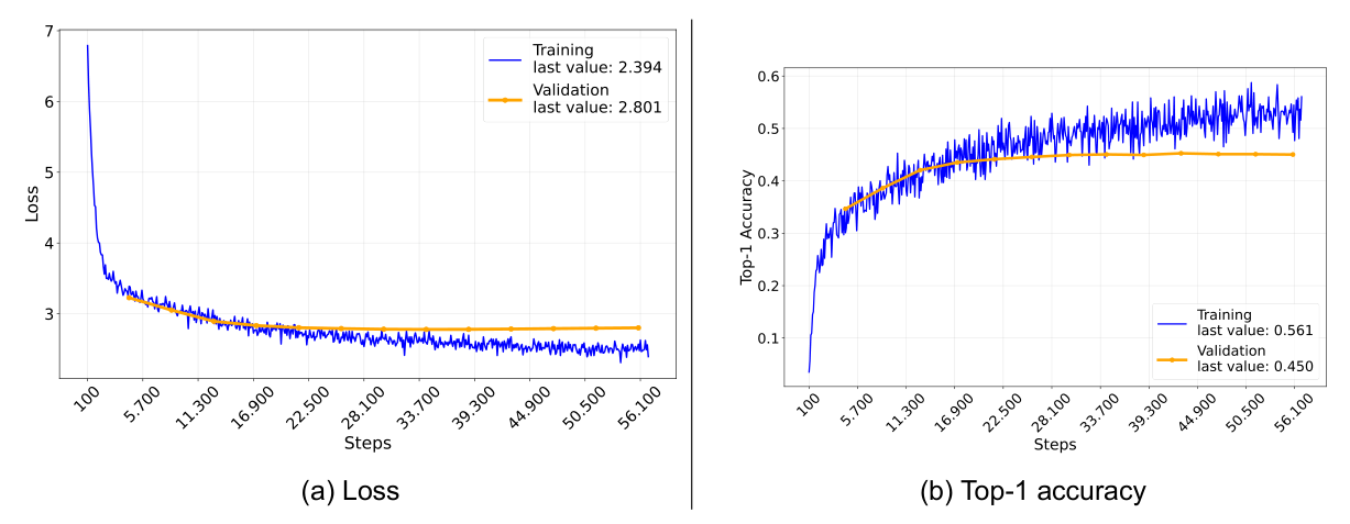 Loss & Top-1 accuracy for 5b_UDRL-rtg5_eval model - source: own depiction Loss & Top-1 accuracy for 5b_UDRL-rtg5_eval model