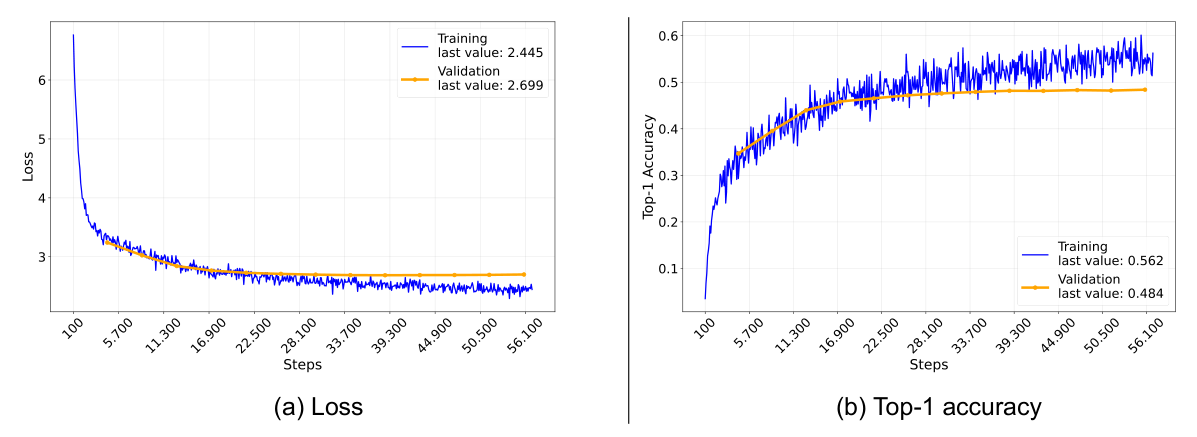 Loss & Top-1 accuracy for 6_UDRL-rtg3_material model - source: own depiction Loss & Top-1 accuracy for 6_UDRL-rtg3_material model